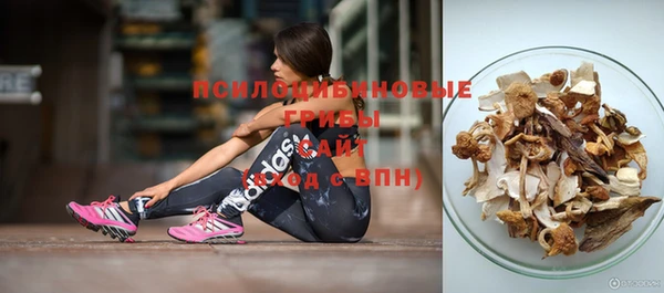 тгк Алексеевка