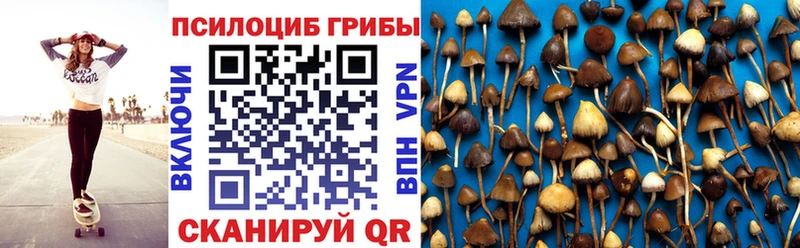 Галлюциногенные грибы Psilocybe  omg сайт  Новосиль 